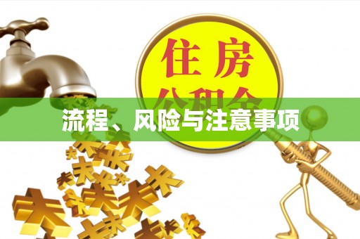 秭归流程、风险与注意事项